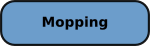 MOPPING