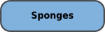 SPONGES
